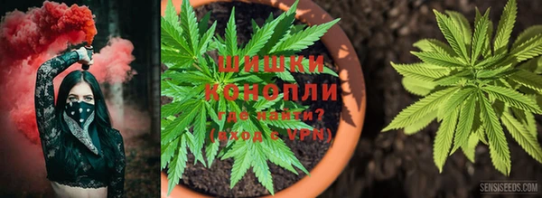 ешки Абаза