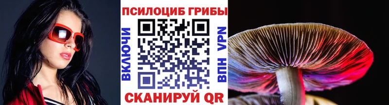 Галлюциногенные грибы Psilocybe  закладка  Беломорск 